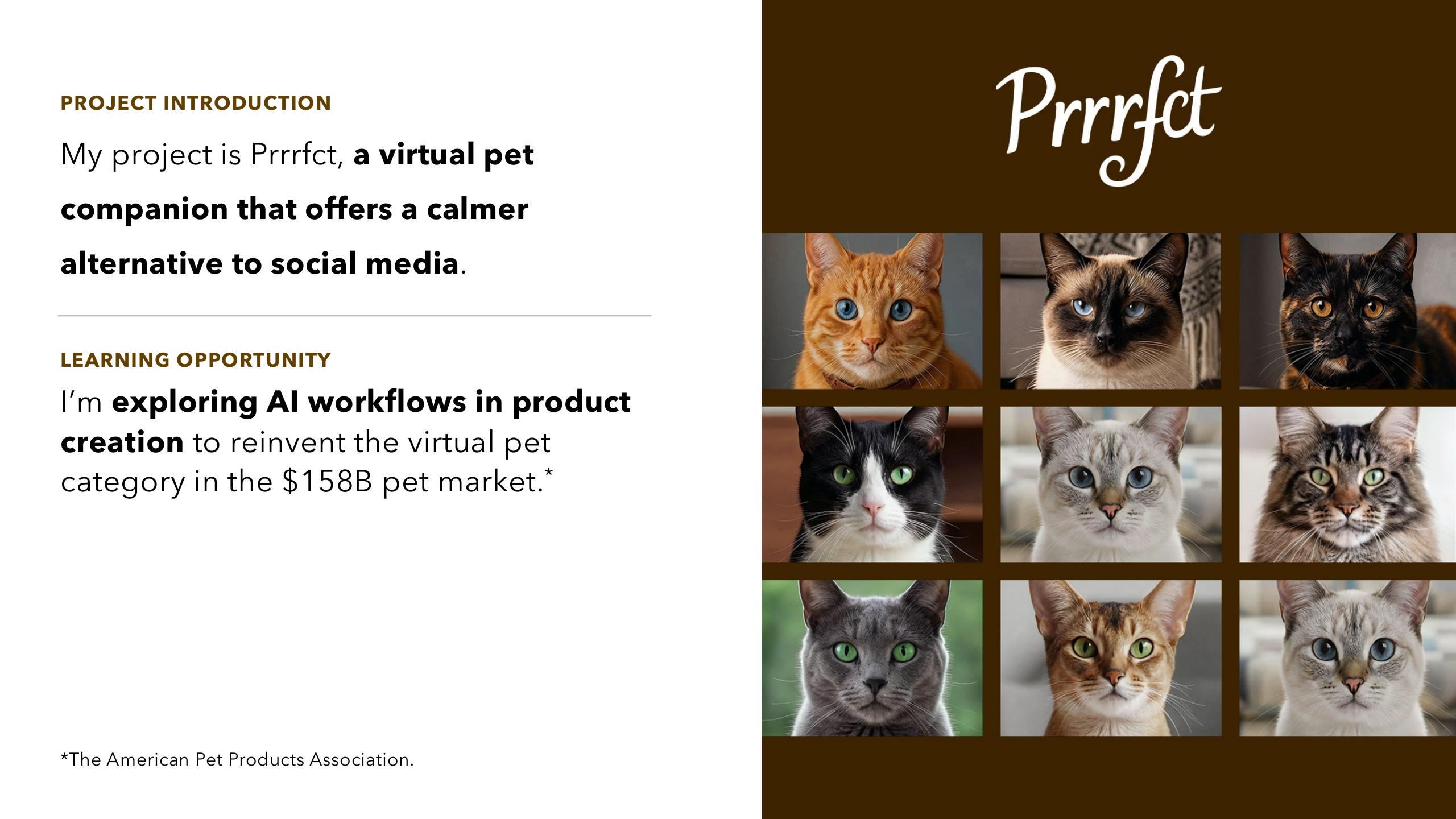 Prrrfct case study introduction describing a virtual pet project used to explore AI workflows in product creation